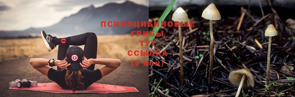 mdpv Нязепетровск