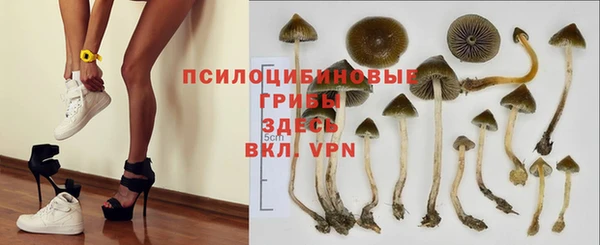 скорость Новокубанск