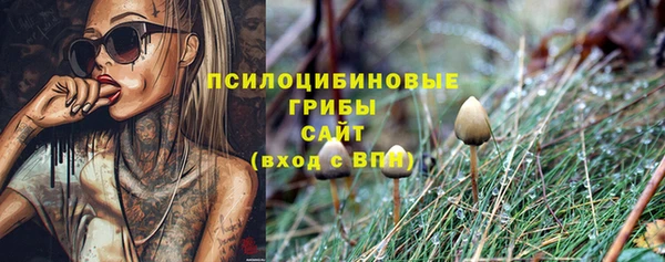 метадон Нягань