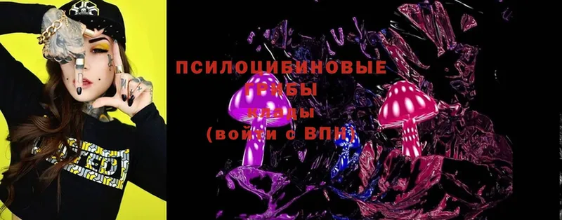 наркота  Медынь  Галлюциногенные грибы Magic Shrooms 